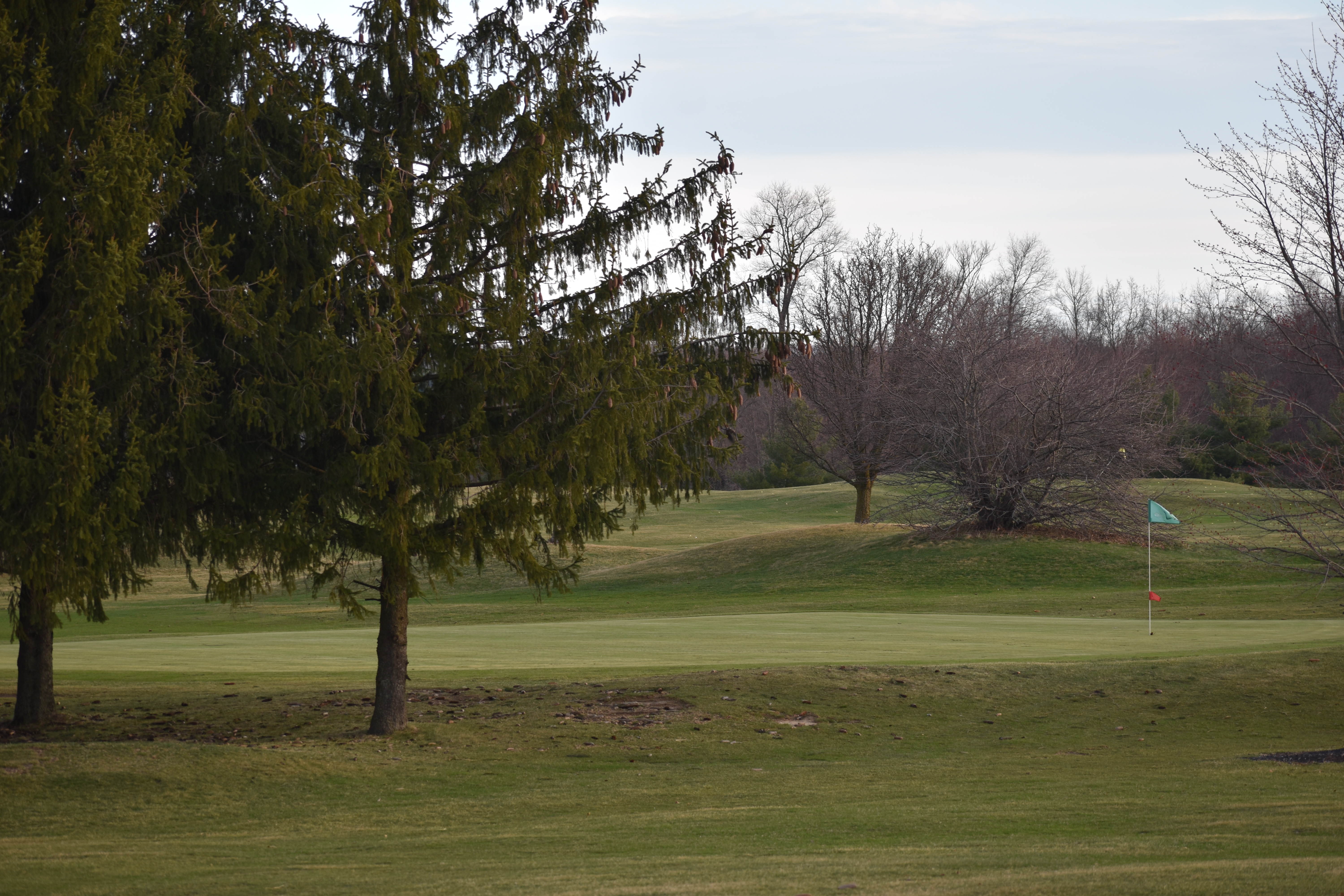 Image of golf ball on tee on grass.
