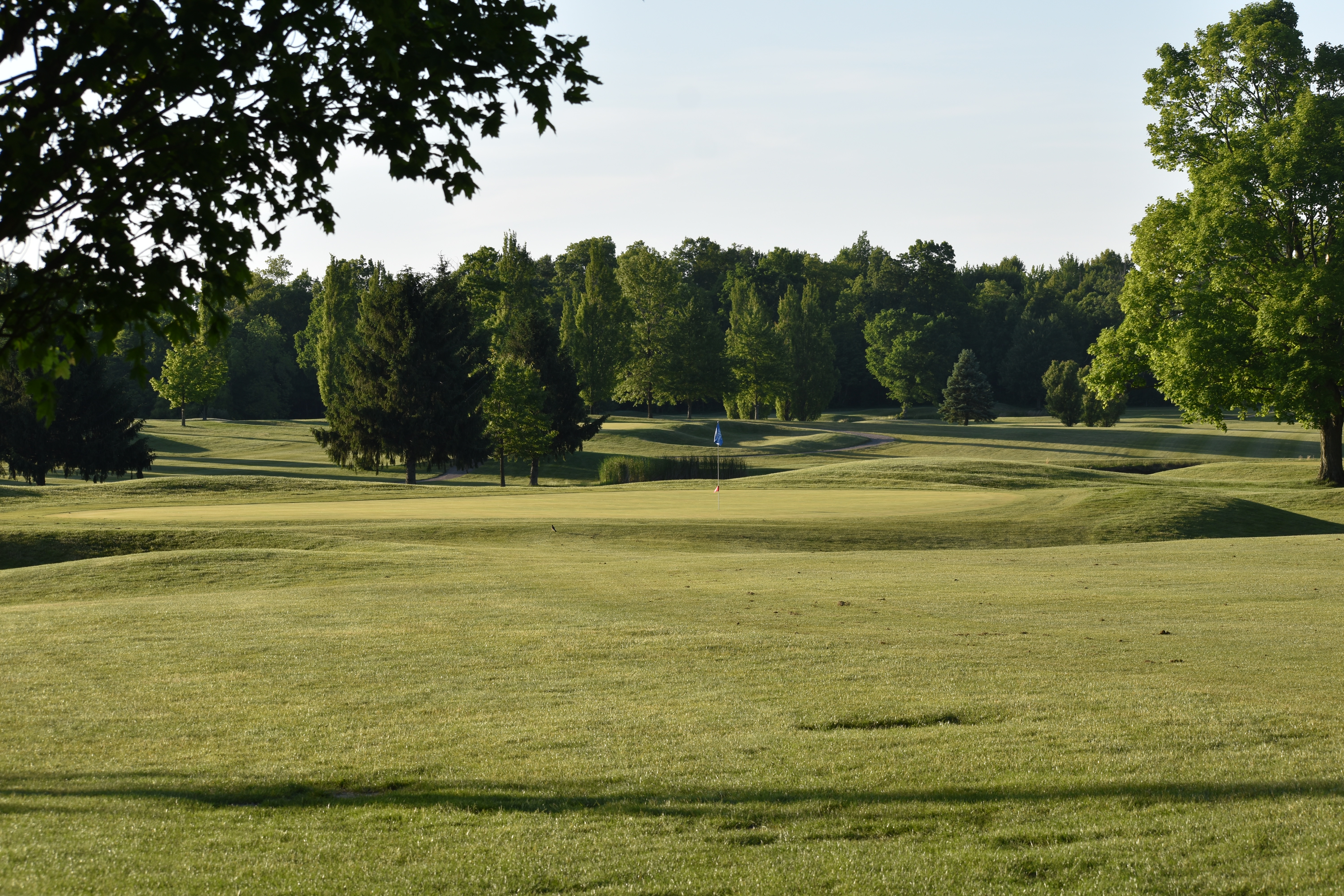 Image of golf ball on tee on grass.
